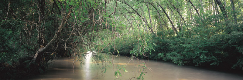 El dueño del Amazonas