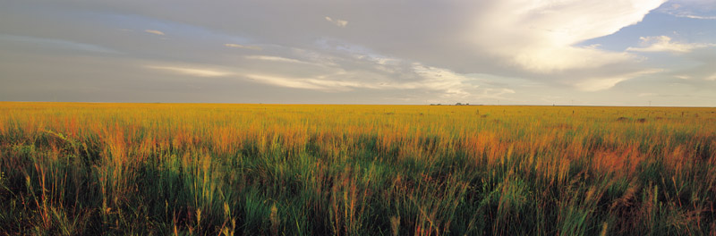 Cuidar la naturaleza también en el área de la propiedad privada 